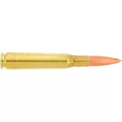 .50 Caliber Bullet Pen